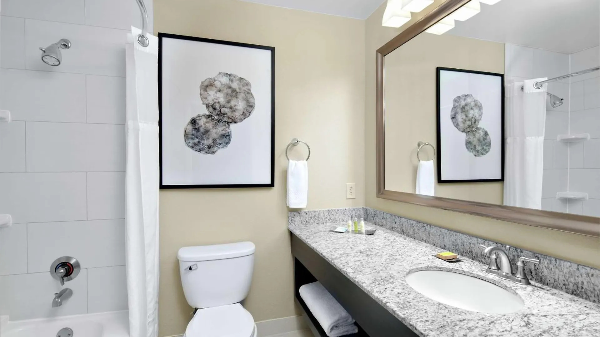 Hotel Doubletree Suites By Hilton Charlotte/Southpark